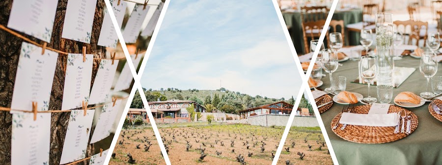 Airén - Gastronomía y vinos