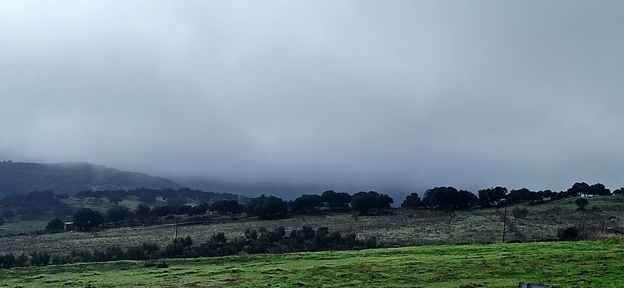 Bar Restaurante "La Querencia"