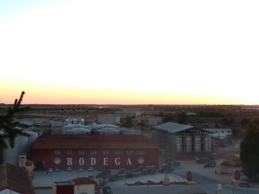 Bodega Unión Campesina Iniestense