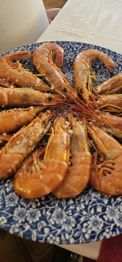 Complejo Luna Jamaica