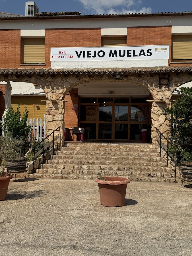 Viejo Muelas