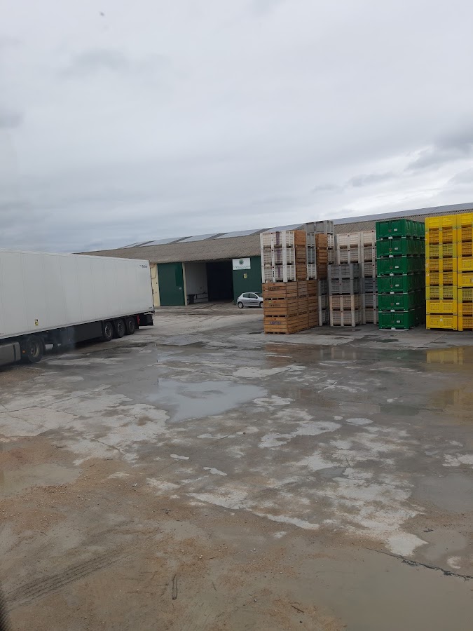 Almacen de Ajos la Veguilla