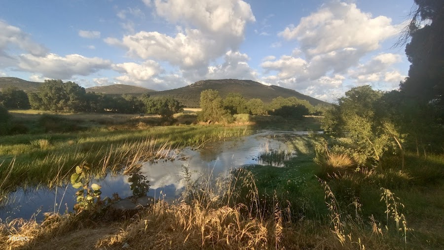 Area Recreativa Los Ejidos