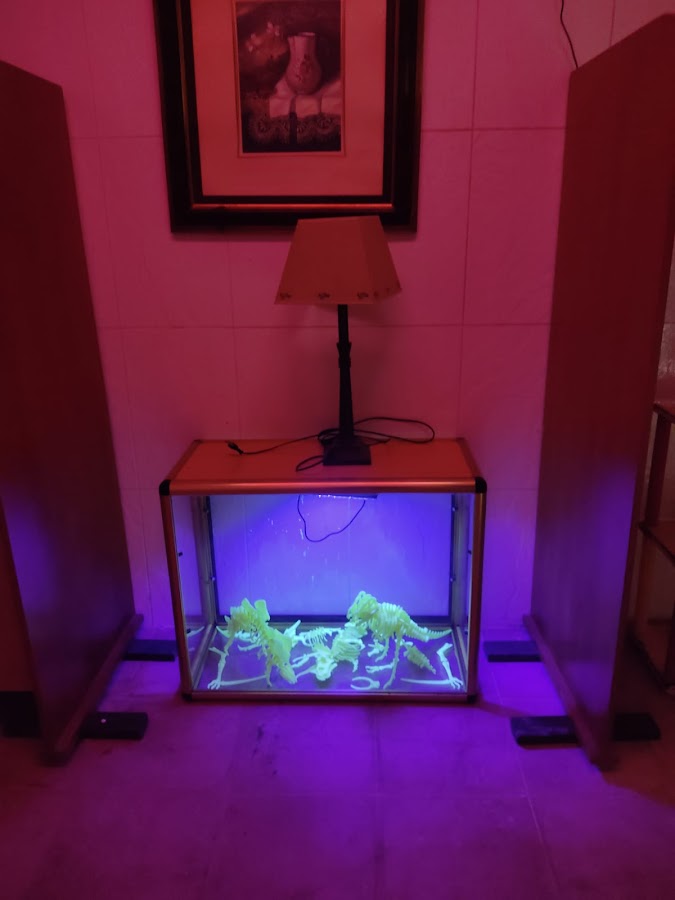 Escape room Argamasilla de Alba - Escape room Tomelloso