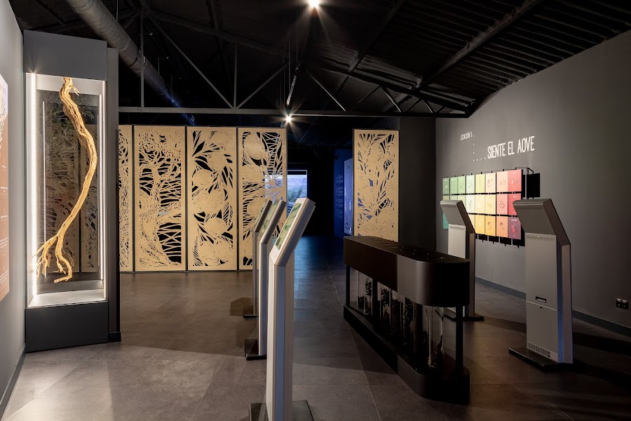 Finca La Pontezuela - Almazara y Oleoturismo