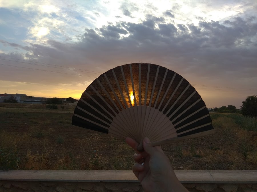 Merendero De La Paloma