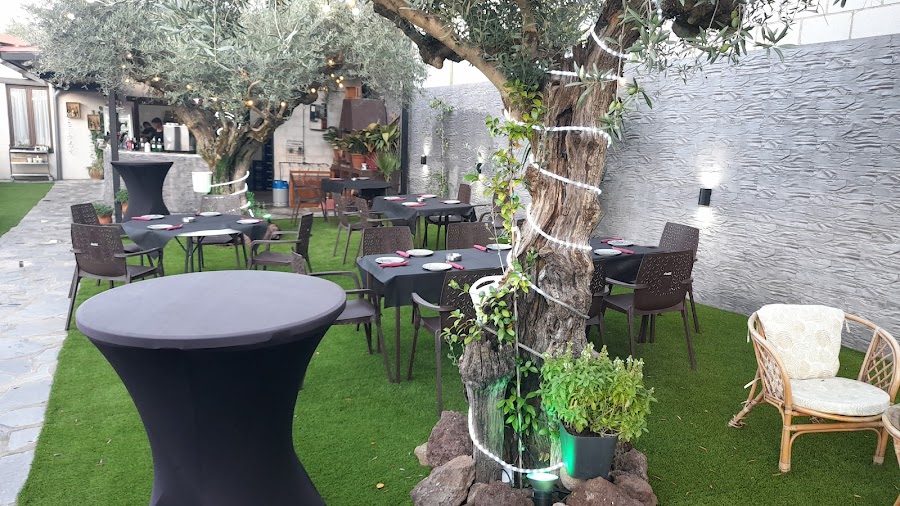 RESTAURANTE EL ALBERO