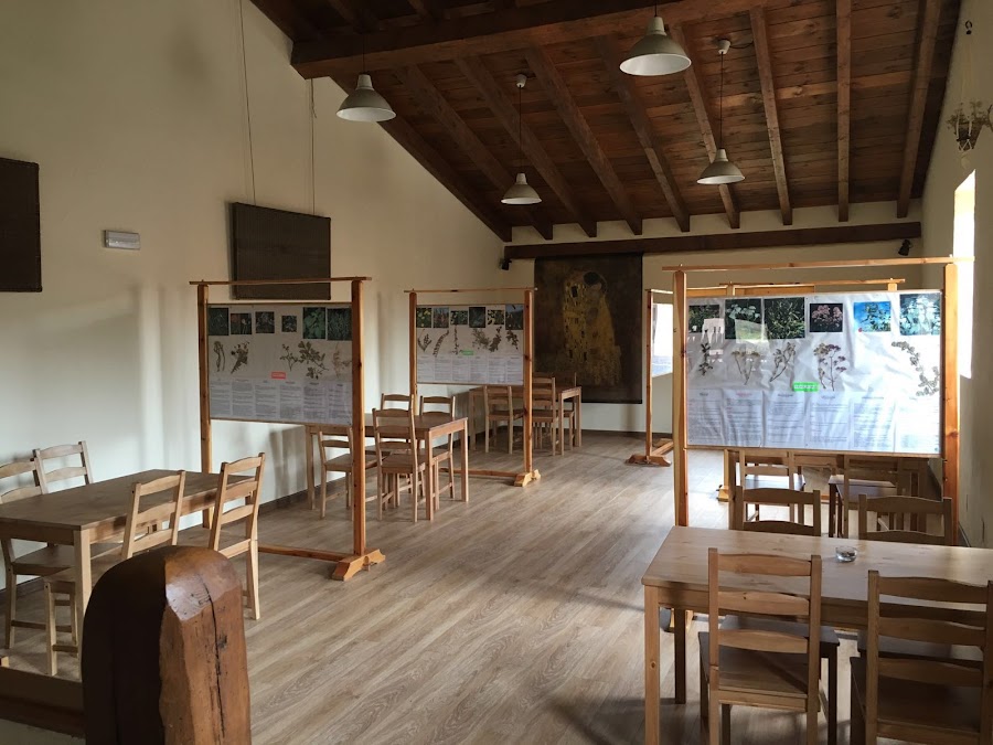 Restaurante Los Quiñones